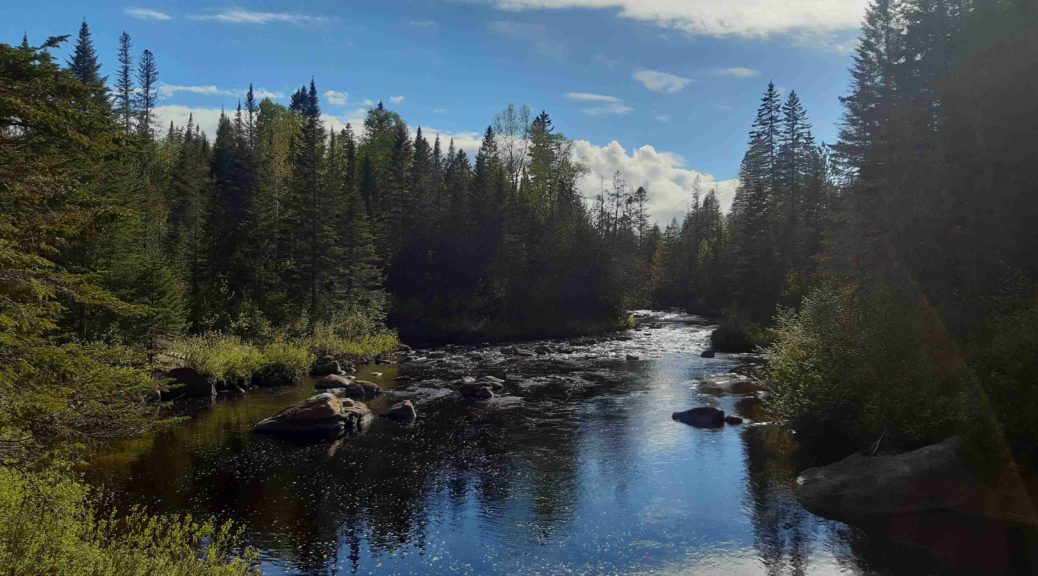 Laurentides, kunan, pacha, blog, voyage, canada, quebec